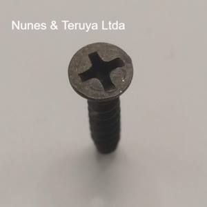 PARAFUSO FIXER CAB CHATA 4.5X25 RI PHILLIPS ZINCADO PRETO CISER - Imagem 2