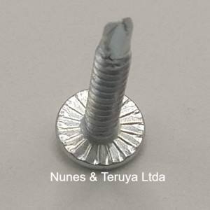 PARAFUSO FL DENTADO PH AA PB 4,2X25 RI ZINCADO BRANCO CISER - Imagem 4